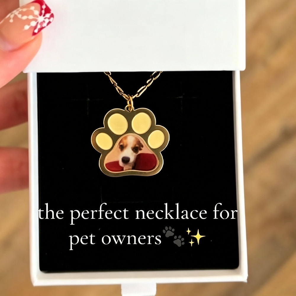 Personalized Pet Paw Colors Pr - Custom Name Necklace Stainless Steel review and price